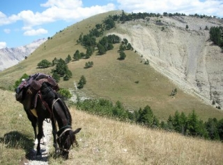 Col de Lauteret 